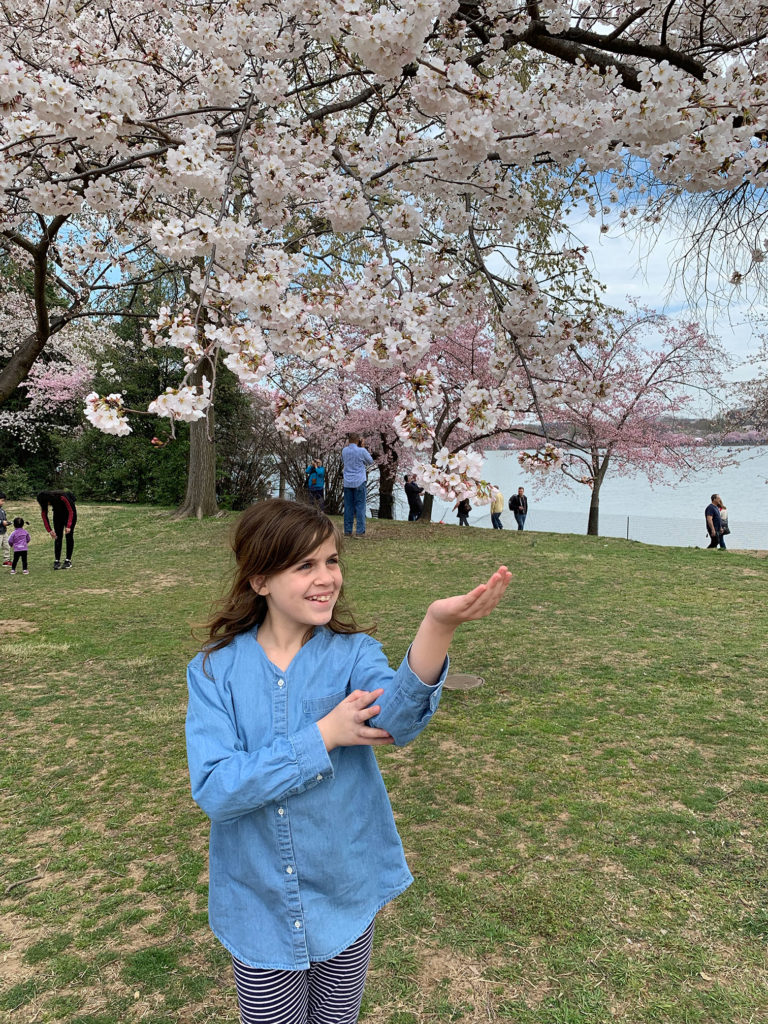 Sasha pointing at a cherry blossom branch
